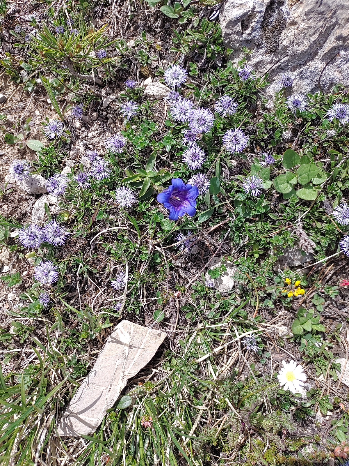 24_19. Juni 21_G Rocher du Midi (106).jpg